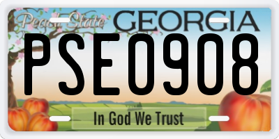 GA license plate PSE0908