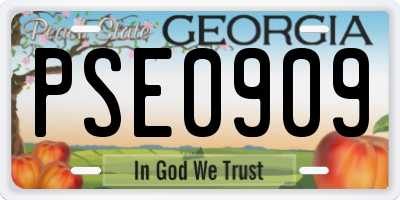 GA license plate PSE0909