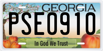 GA license plate PSE0910