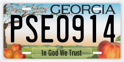 GA license plate PSE0914