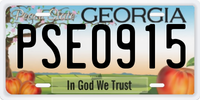 GA license plate PSE0915