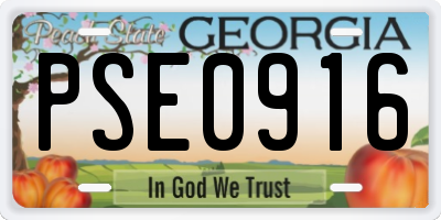 GA license plate PSE0916
