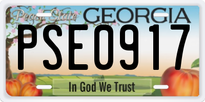 GA license plate PSE0917
