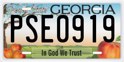 GA license plate PSE0919