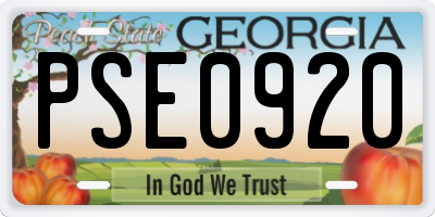 GA license plate PSE0920