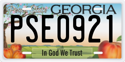 GA license plate PSE0921