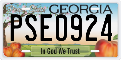 GA license plate PSE0924