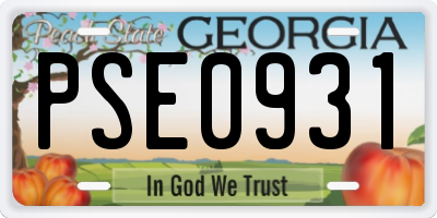 GA license plate PSE0931