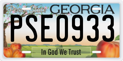 GA license plate PSE0933