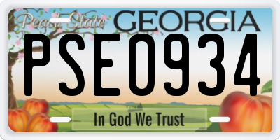 GA license plate PSE0934