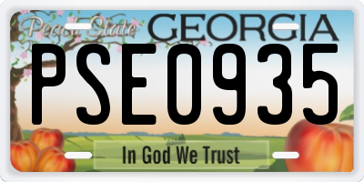 GA license plate PSE0935