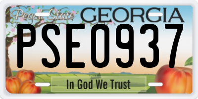 GA license plate PSE0937