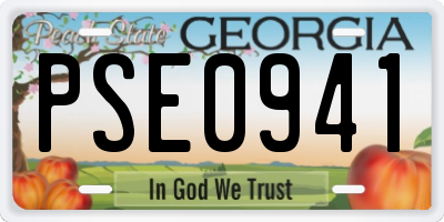 GA license plate PSE0941