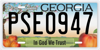 GA license plate PSE0947