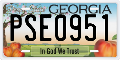 GA license plate PSE0951
