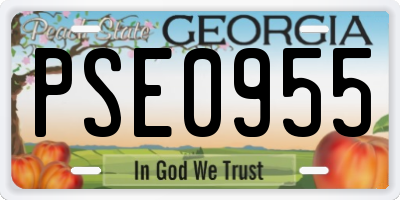 GA license plate PSE0955