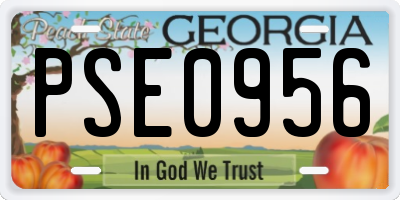 GA license plate PSE0956