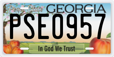 GA license plate PSE0957