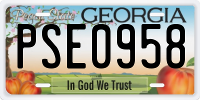 GA license plate PSE0958