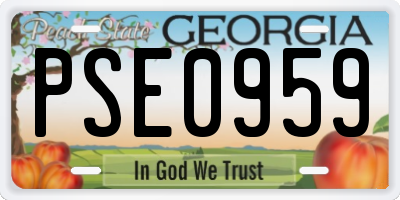 GA license plate PSE0959