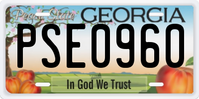 GA license plate PSE0960