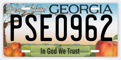 GA license plate PSE0962