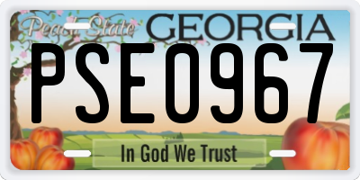 GA license plate PSE0967