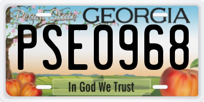 GA license plate PSE0968
