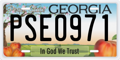 GA license plate PSE0971