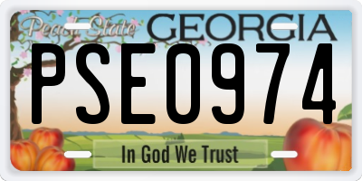 GA license plate PSE0974