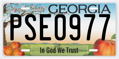 GA license plate PSE0977