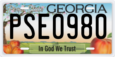 GA license plate PSE0980