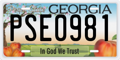 GA license plate PSE0981