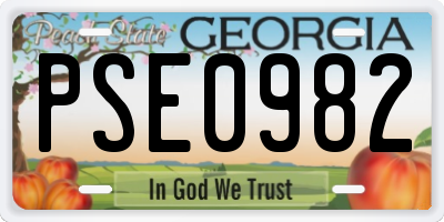 GA license plate PSE0982