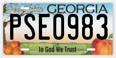 GA license plate PSE0983
