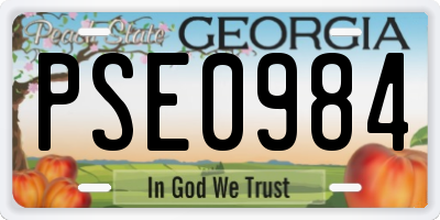 GA license plate PSE0984