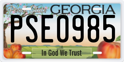 GA license plate PSE0985