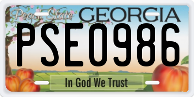 GA license plate PSE0986