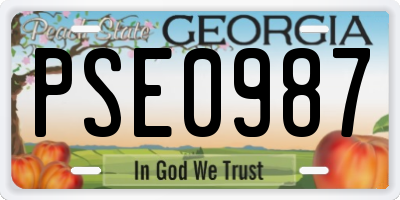 GA license plate PSE0987