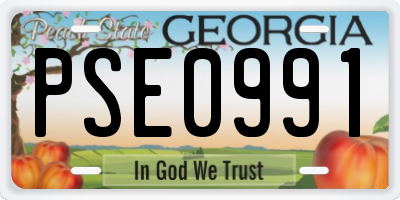 GA license plate PSE0991