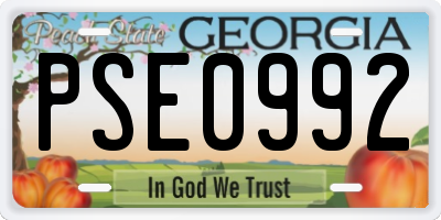 GA license plate PSE0992