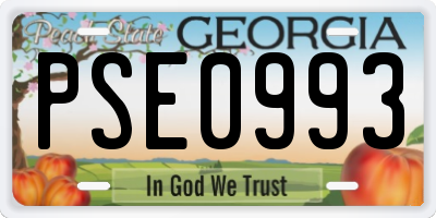 GA license plate PSE0993
