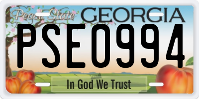 GA license plate PSE0994