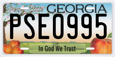 GA license plate PSE0995