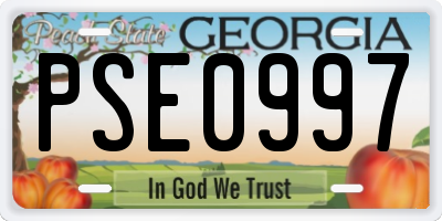 GA license plate PSE0997