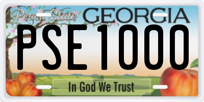 GA license plate PSE1000