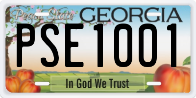 GA license plate PSE1001