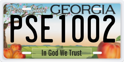 GA license plate PSE1002