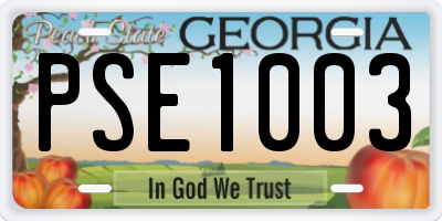 GA license plate PSE1003