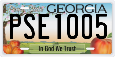 GA license plate PSE1005
